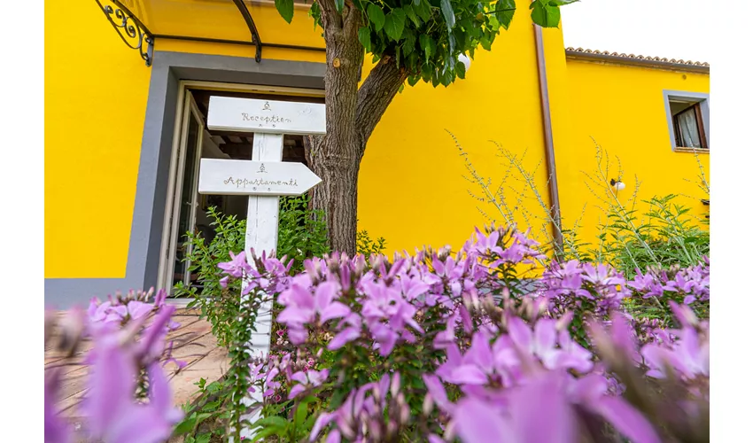 Agriturismo L'Olmo di Casigliano