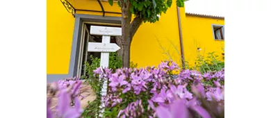 Agriturismo L'Olmo di Casigliano