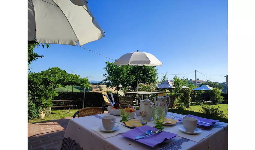 Agriturismo L'Olmo di Casigliano
