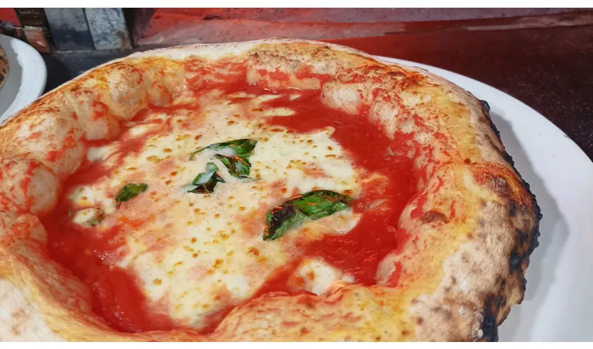 Pizzeria Tonino 1969