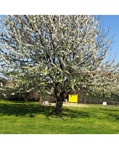 Agriturismo La Biula