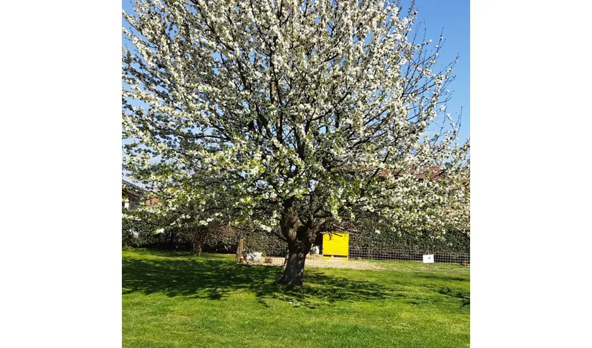 Agriturismo La Biula