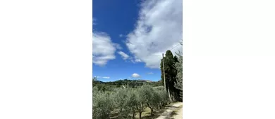 Fattoria Madonna della Querce