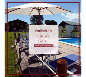 Agriturismo I MORI GELSI - Fattoria Spinola