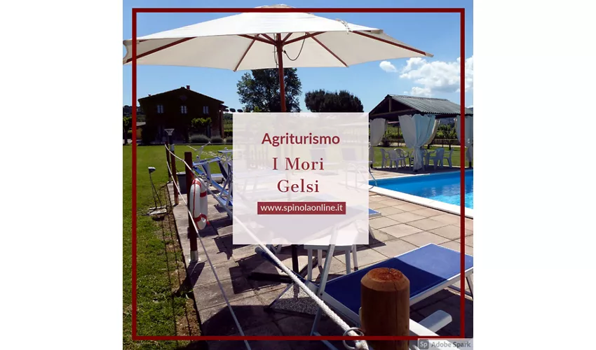 Agriturismo I MORI GELSI - Fattoria Spinola