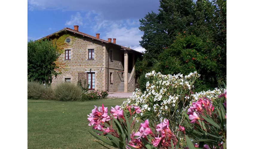 Agriturismo I MORI GELSI - Fattoria Spinola