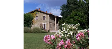 Agriturismo I MORI GELSI - Fattoria Spinola