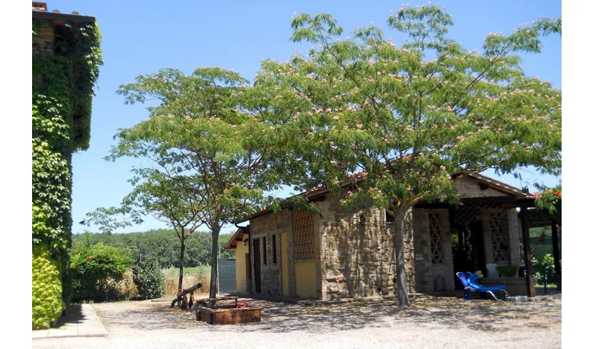 Agriturismo I MORI GELSI - Fattoria Spinola