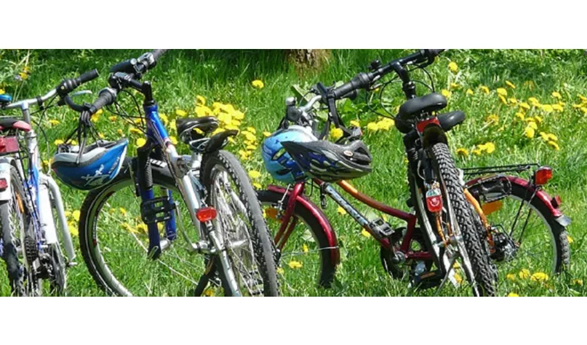 Albergo Ristorante da Gianni di Bertinotti