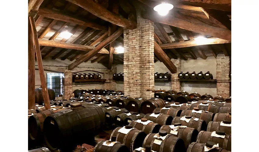 Agriturismo Acetaia Paltrinieri