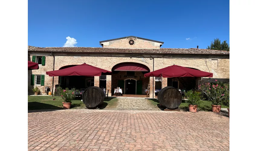 Agriturismo Acetaia Paltrinieri