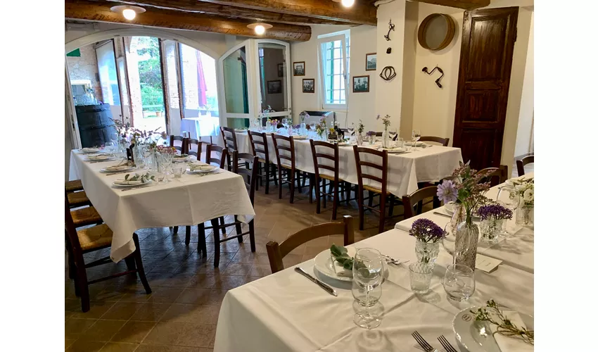 Agriturismo Acetaia Paltrinieri