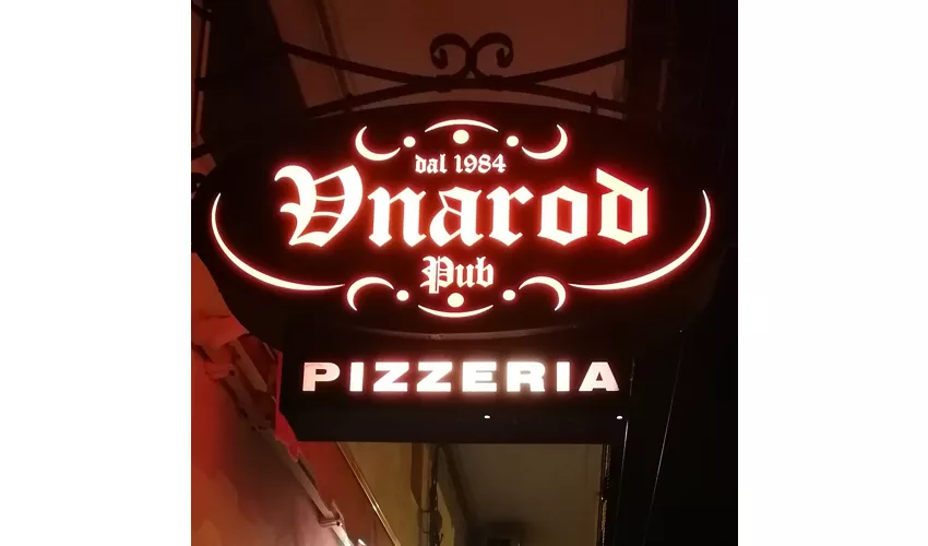 Vnarod Pub