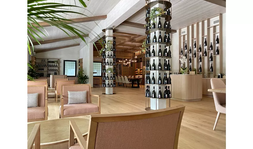 Tenuta Baron Winery