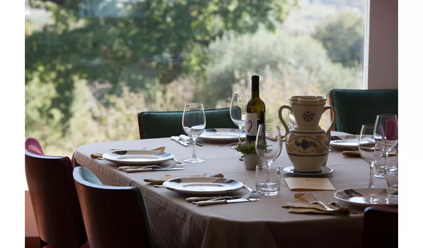 Agriturismo La Vecchia Quercia