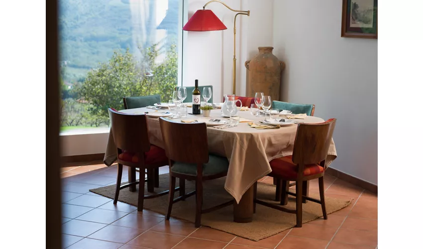 Agriturismo La Vecchia Quercia