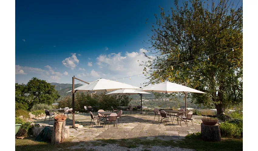Agriturismo La Vecchia Quercia