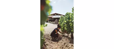 Agriturismo Su Connottu