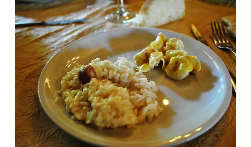 Trattoria Per Bacco