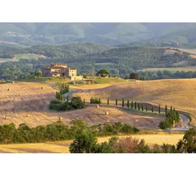 Podere Calvaiola
