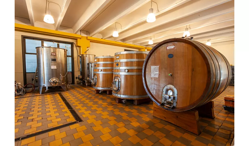 Agriturismo Cantine Bevione