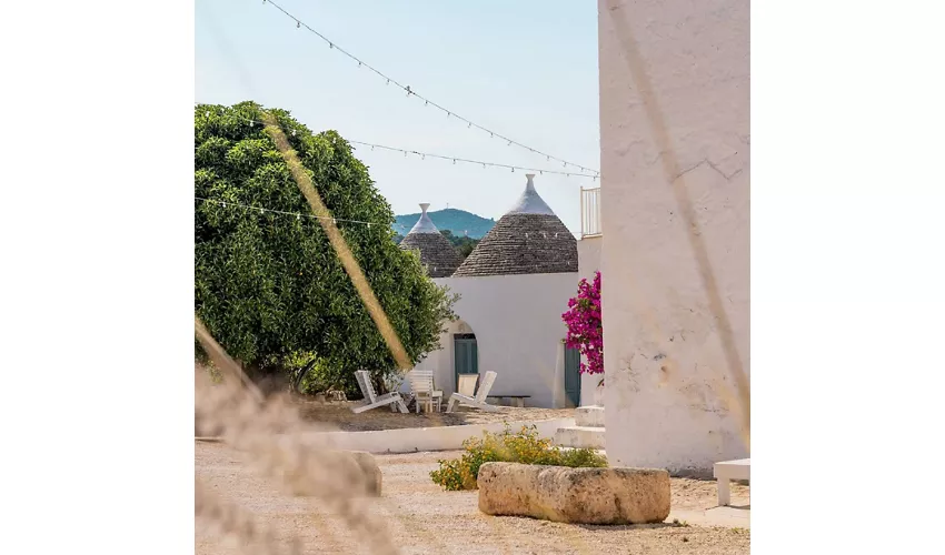 Masseria Mozzone 
