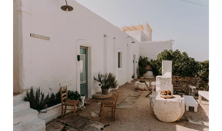 Masseria Mozzone 
