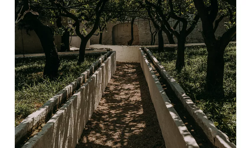 Masseria Mozzone 
