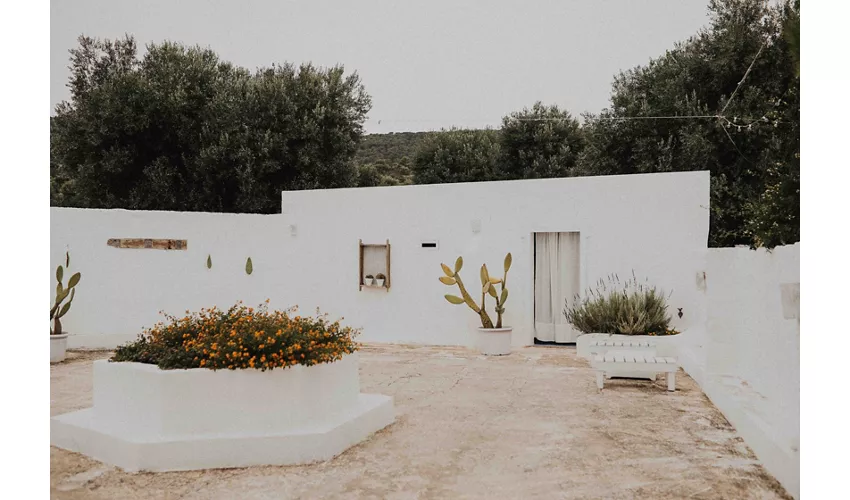 Masseria Mozzone 