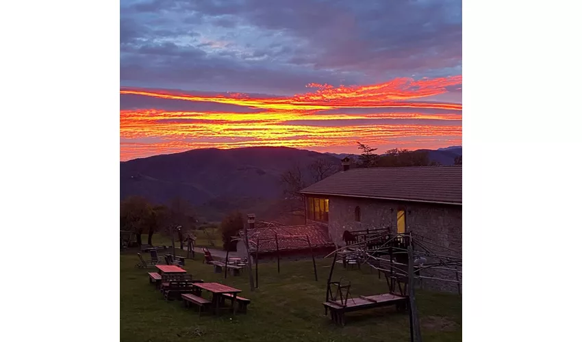 Via Giuseppe Catani