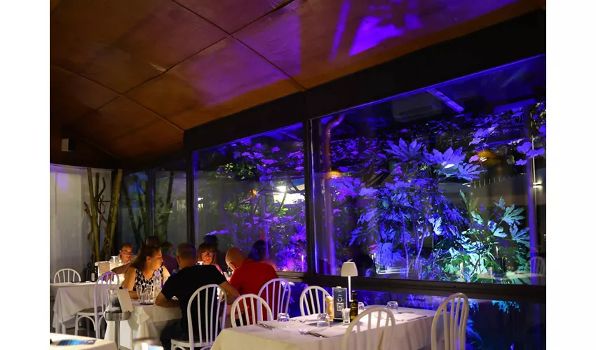 Ristorante da Dino