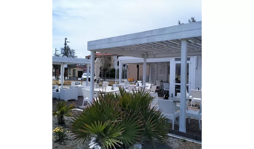 Bar Surya