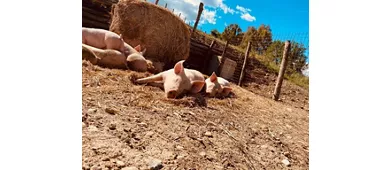 I Sapori Dei Briganti