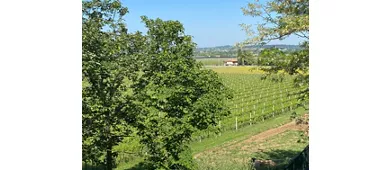 La Pesenata - Società agricola
