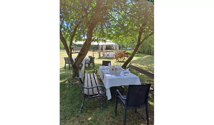 Agriturismo Il Vecchio Granaio