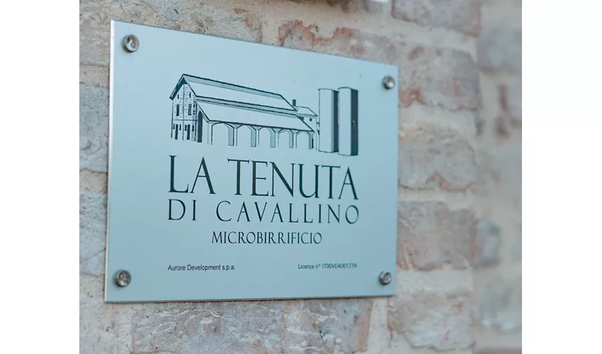 La Tenuta di Cavallino