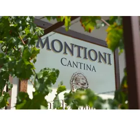 Montioni Frantoio e Cantina