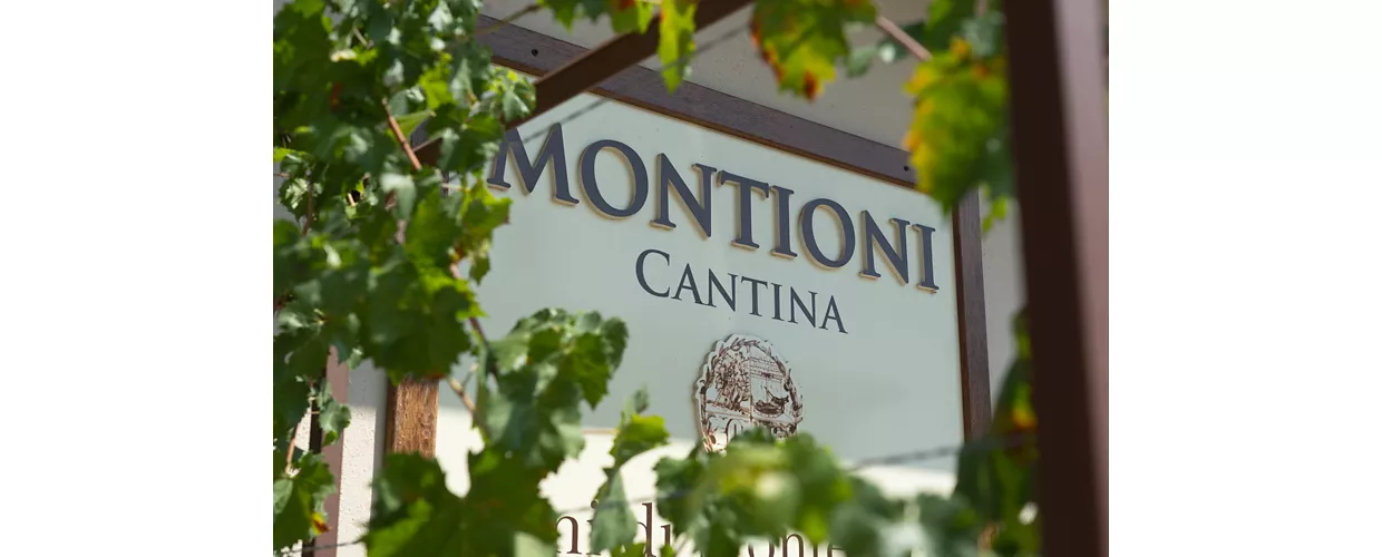 Montioni Frantoio e Cantina