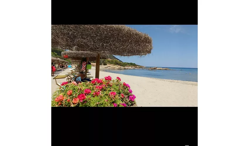 Stabilimento Balneare Vela Sport