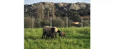 Lu Branu Turismo Rurale