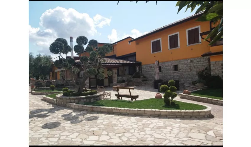 La Vecchia Fattoria Agriturismo - cucina contadina