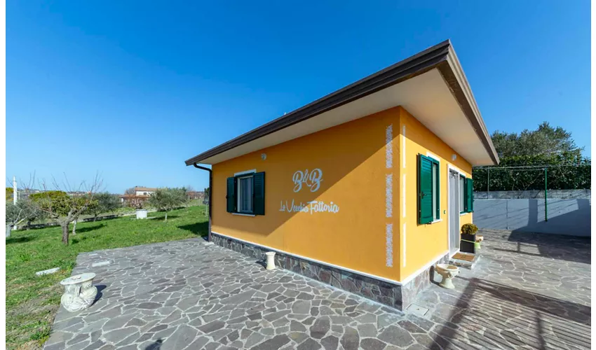 La Vecchia Fattoria Agriturismo - cucina contadina