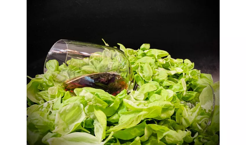Pesto DiVino - Osteria con Cucina