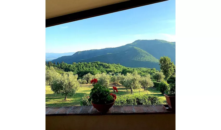 Il Borgo Restaurant And More