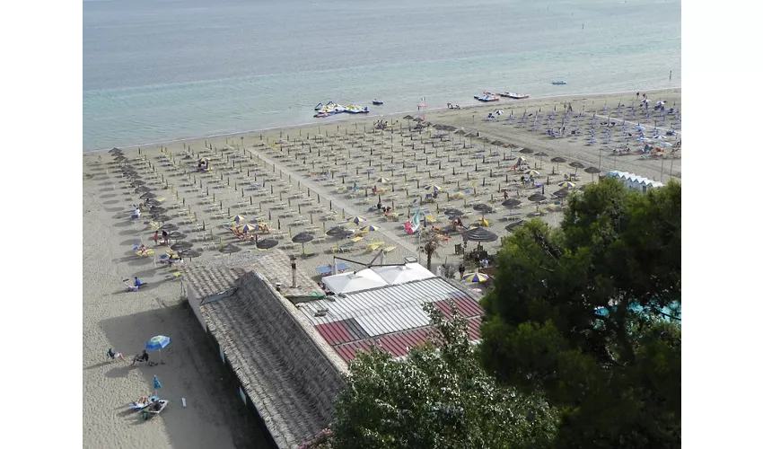 Spiaggia Airone E Snoopy