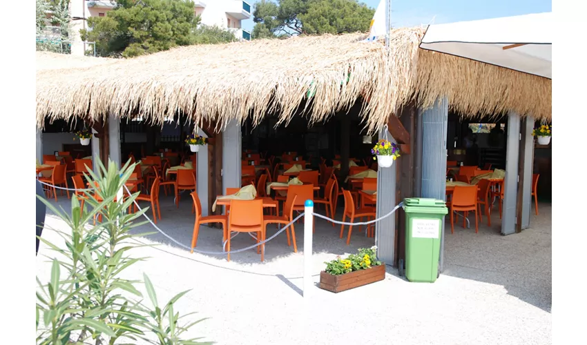 Spiaggia Airone E Snoopy
