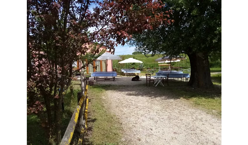 Ristorante Cà Lattis di Pinton Carla