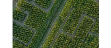 Podere Salmastro