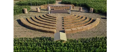 Podere Salmastro