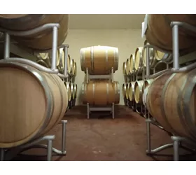 Terre Di San Ginesio Srl